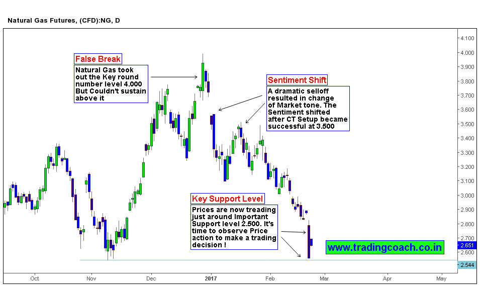 Natural Gas trading at an Important Support level - Watch the Price Action