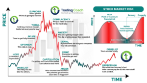 Market Cycle and Bear Market